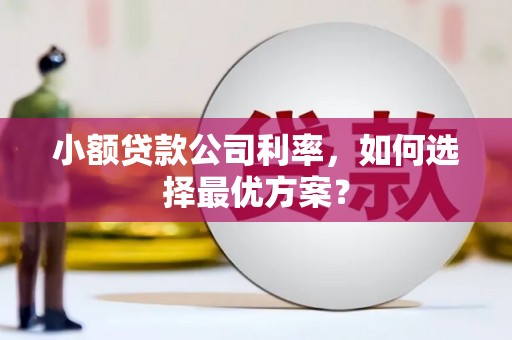 永康小额贷款公司利率，如何选择最优方案？