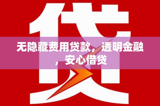 永康无隐藏费用贷款，透明金融，安心借贷