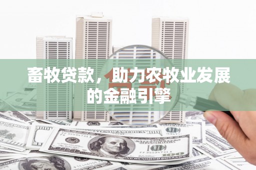 永康畜牧贷款，助力农牧业发展的金融引擎