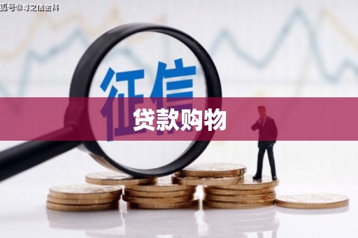 永康贷款购物