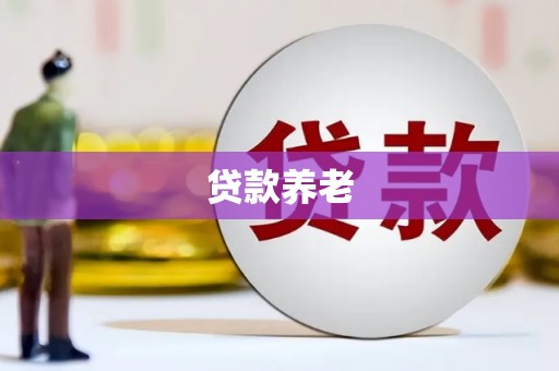 永康贷款养老