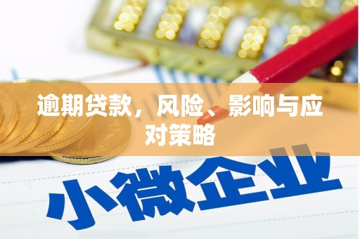永康逾期贷款，风险、影响与应对策略