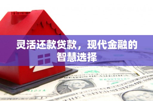永康灵活还款贷款，现代金融的智慧选择