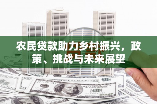 永康农民贷款助力乡村振兴，政策、挑战与未来展望