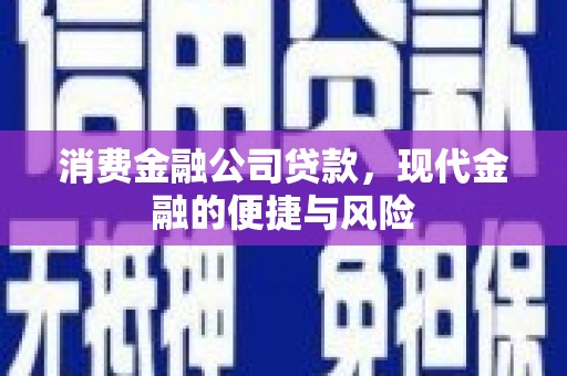 永康消费金融公司贷款，现代金融的便捷与风险
