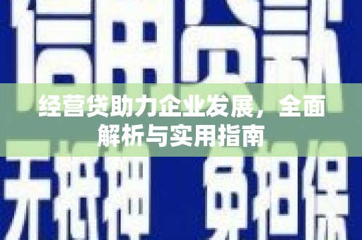 永康经营贷助力企业发展，全面解析与实用指南