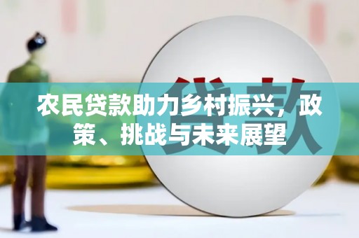 永康农民贷款助力乡村振兴，政策、挑战与未来展望