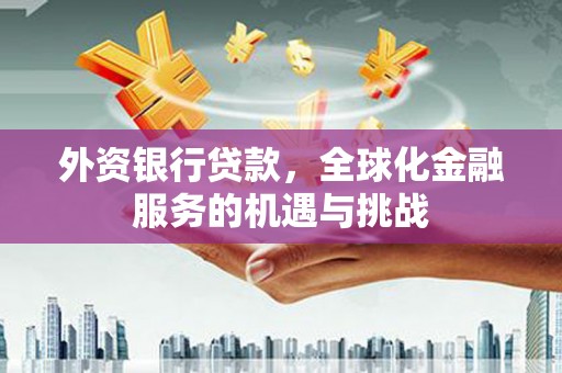 永康外资银行贷款，全球化金融服务的机遇与挑战