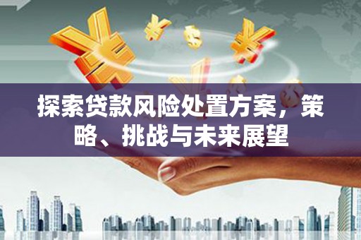 永康探索贷款风险处置方案，策略、挑战与未来展望