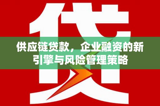 永康供应链贷款，企业融资的新引擎与风险管理策略