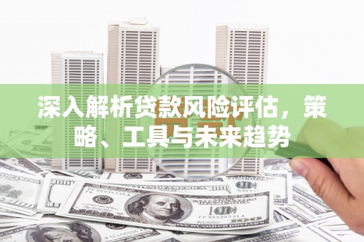 永康深入解析贷款风险评估，策略、工具与未来趋势
