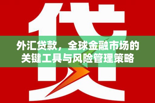 永康外汇贷款，全球金融市场的关键工具与风险管理策略