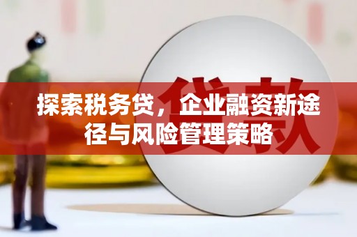 永康探索税务贷，企业融资新途径与风险管理策略