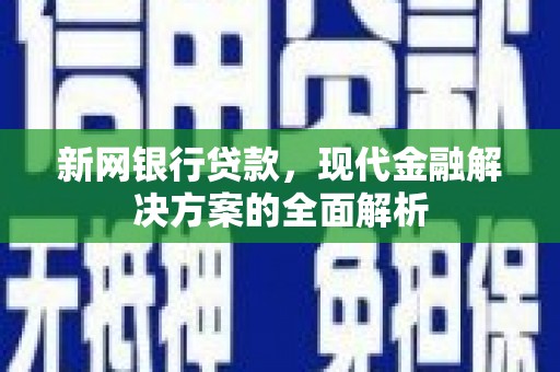 永康新网银行贷款，现代金融解决方案的全面解析