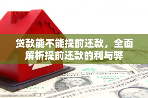 永康贷款能不能提前还款，全面解析提前还款的利与弊