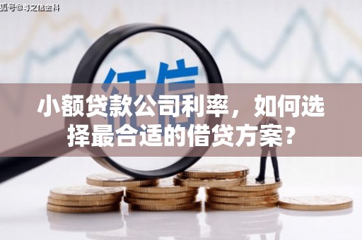 永康小额贷款公司利率，如何选择最合适的借贷方案？