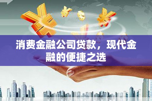 永康消费金融公司贷款，现代金融的便捷之选