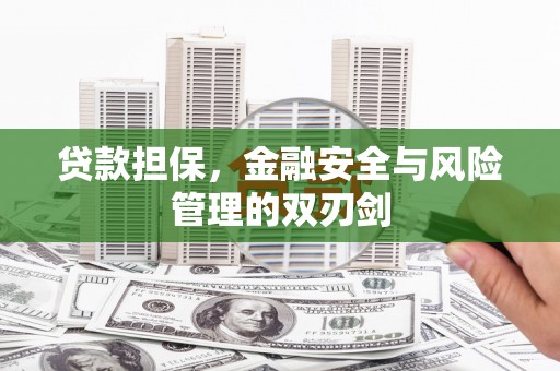 永康贷款担保，金融安全与风险管理的双刃剑