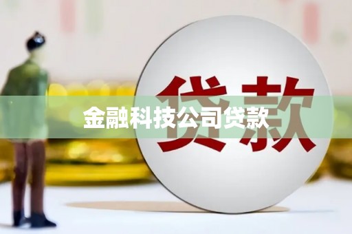 永康金融科技公司贷款