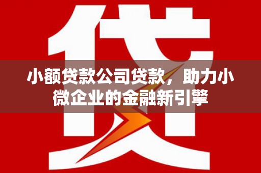 永康小额贷款公司贷款，助力小微企业的金融新引擎