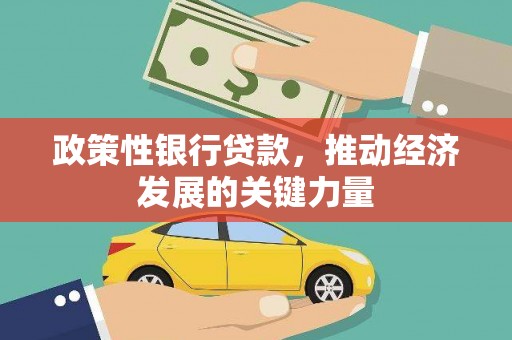 永康政策性银行贷款，推动经济发展的关键力量