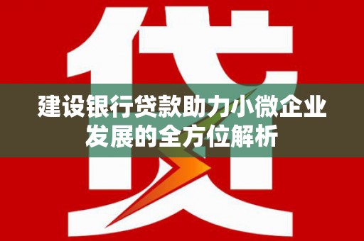 永康建设银行贷款助力小微企业发展的全方位解析