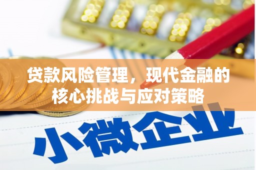 永康贷款风险管理，现代金融的核心挑战与应对策略