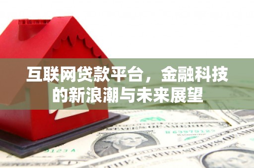 永康互联网贷款平台，金融科技的新浪潮与未来展望