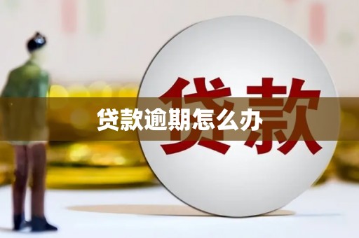 永康贷款逾期怎么办