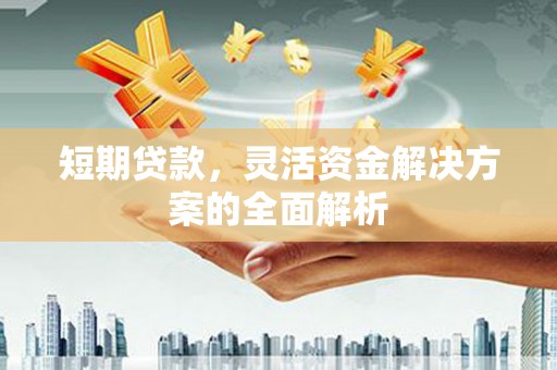 永康短期贷款，灵活资金解决方案的全面解析