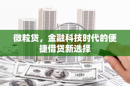 永康微粒贷，金融科技时代的便捷借贷新选择