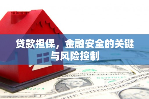 永康贷款担保，金融安全的关键与风险控制