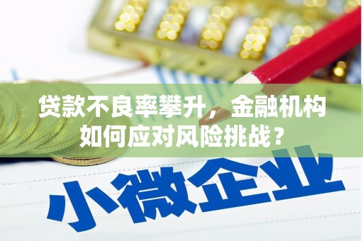 永康贷款不良率攀升，金融机构如何应对风险挑战？