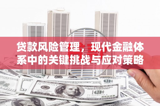 永康贷款风险管理，现代金融体系中的关键挑战与应对策略
