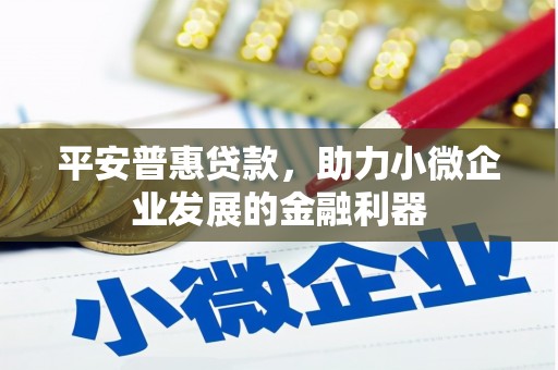 永康平安普惠贷款，助力小微企业发展的金融利器