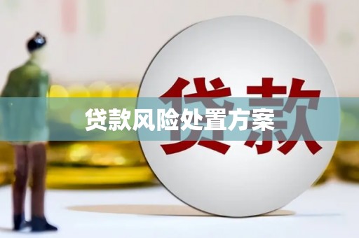 永康贷款风险处置方案