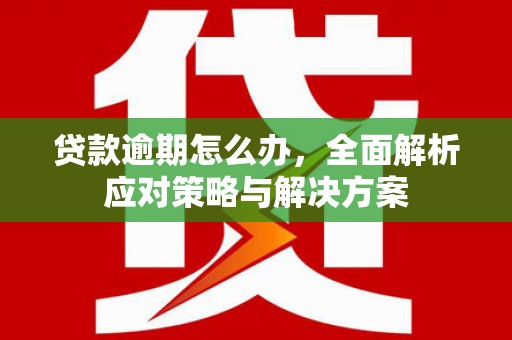 永康贷款逾期怎么办，全面解析应对策略与解决方案
