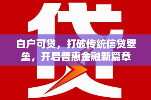 永康白户可贷，打破传统信贷壁垒，开启普惠金融新篇章