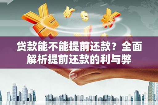 永康贷款能不能提前还款？全面解析提前还款的利与弊