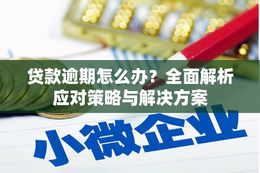 永康贷款逾期怎么办？全面解析应对策略与解决方案