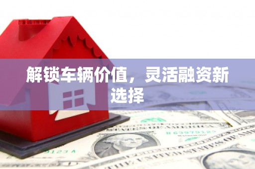 永康解锁车辆价值，灵活融资新选择