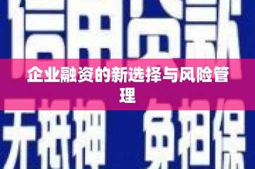 永康企业融资的新选择与风险管理