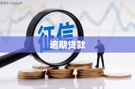 永康逾期贷款