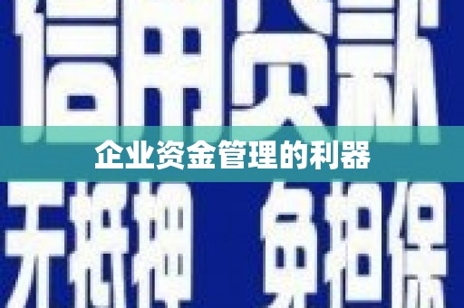 永康企业资金管理的利器