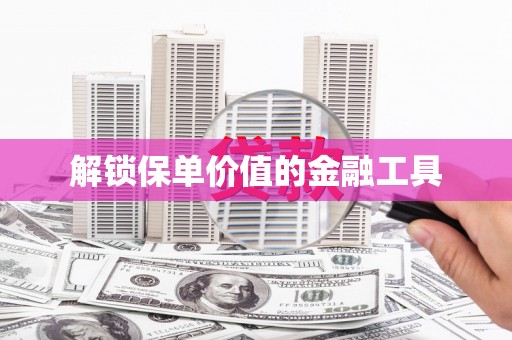 永康解锁保单价值的金融工具