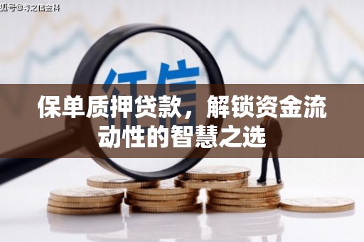 永康保单质押贷款，解锁资金流动性的智慧之选