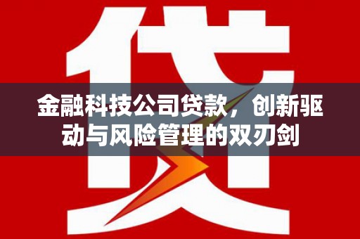 永康金融科技公司贷款，创新驱动与风险管理的双刃剑