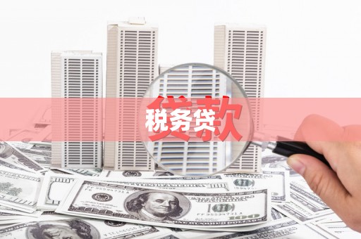 永康税务贷